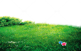 绿色小花草坪边框纹理