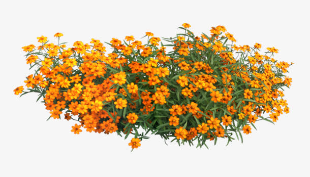 花 效果图素材图片