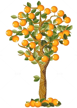 橘树图片下载