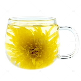 金丝皇菊茶