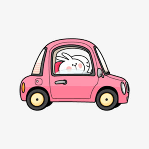 迷你兔子
