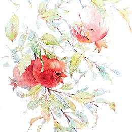 红色石榴花