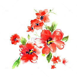 红色水彩石榴花