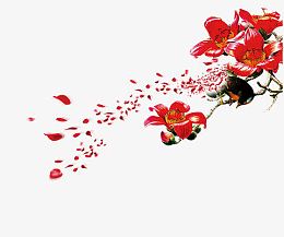 石榴花