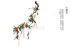 石榴花花语