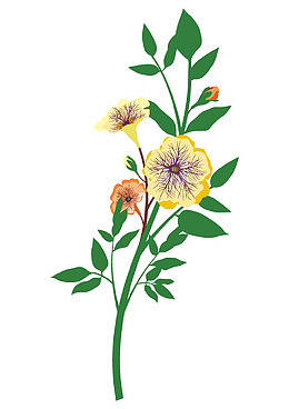 矢量叶子石榴花装饰