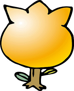 漂亮的石榴花素材图片