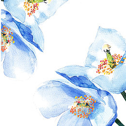 蓝色鲜花
