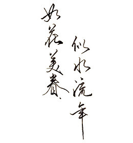 如花美眷似水流年