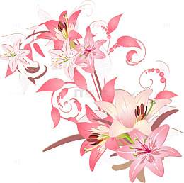 手绘粉色花朵