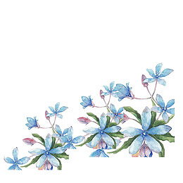 蓝色鲜花