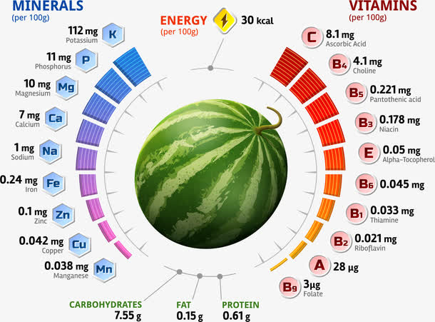 西瓜成分图表