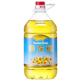 大罐金龙鱼