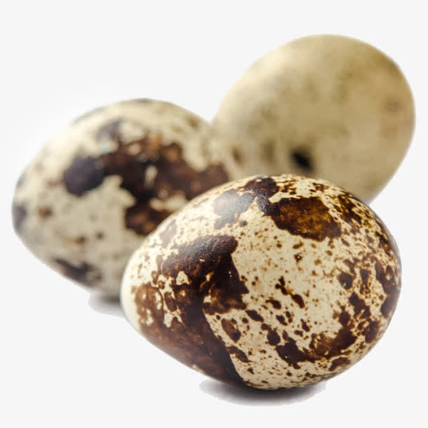 鹌鹑蛋素材免费下载_觅元素