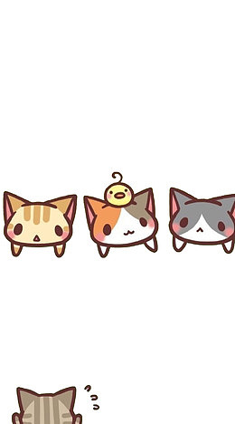 猫奴锁屏