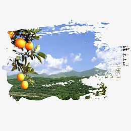 装饰风景