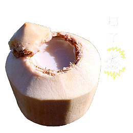 原汁原味的椰奶冻