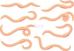 蚯蚓矢量卡通蠕虫
