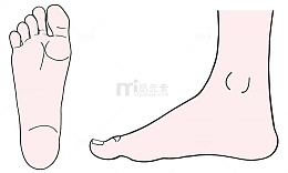 矢量脚图片