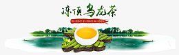 冻顶乌龙茶绿色