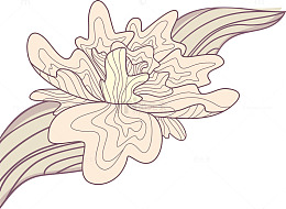 古典风线描花卉叶子