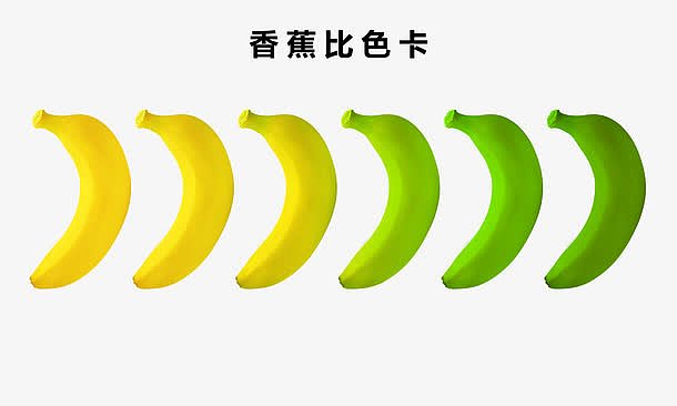 香蕉成熟度比较素材