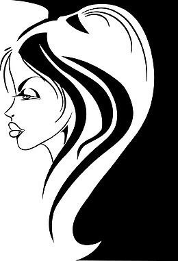 黑白人物插图手绘美女侧脸