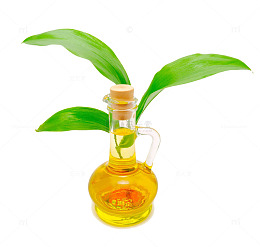 油瓶旁的植物