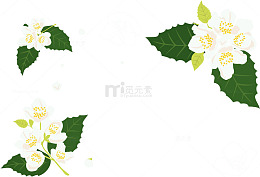 浪漫小白花边框