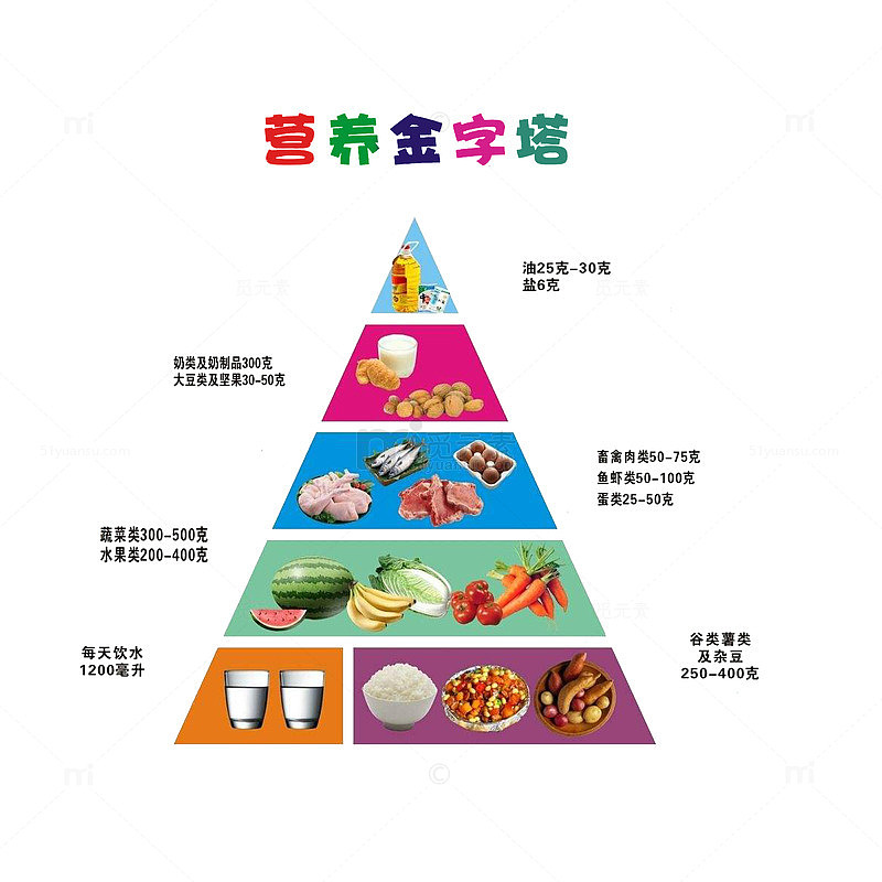 营养金字塔