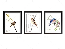 各色姿态的鸟儿