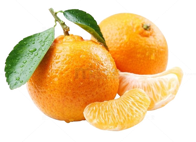 叶子水珠的橘子