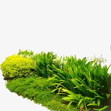 平面灌木丛(1134x1134)png花瓣飘落樱花季海报背景素材(3230x2000)psd