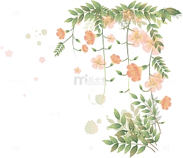 手绘花草边框
