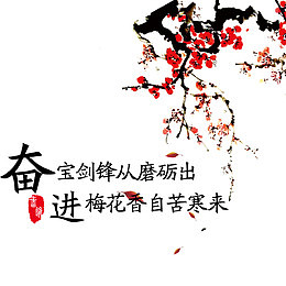 梅花香自苦寒来