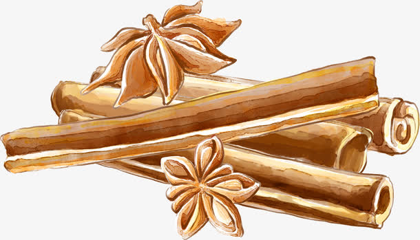 手绘八角桂皮