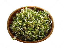 一簸箕豆芽菜