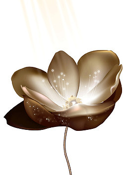 发光荷花背景装饰