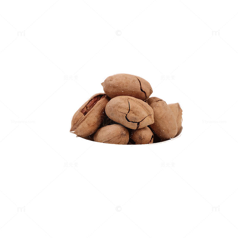 美味的碧根果