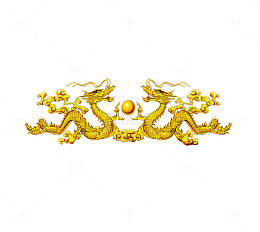 龙