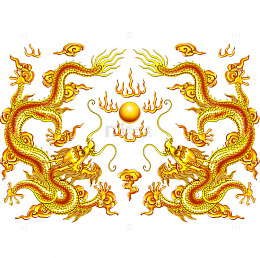 龙