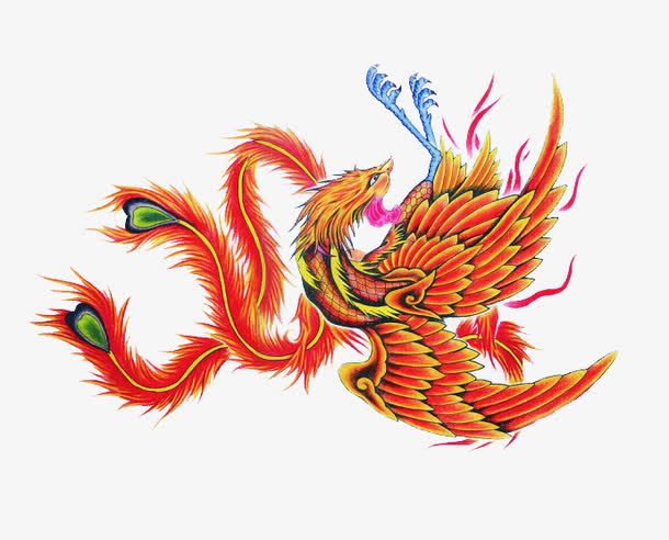 手绘凤凰