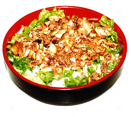 色味俱佳的土耳其烤肉饭高清摄影