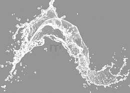 免扣水润水花