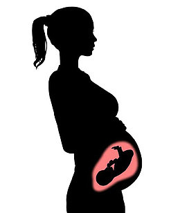 孕妇肚子里的宝宝