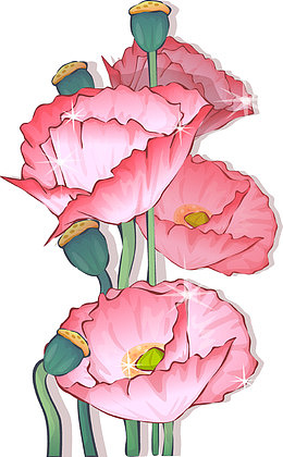 粉色荷花