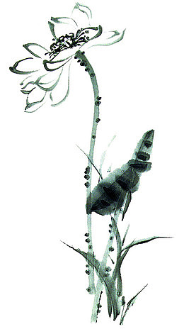 荷花水墨画