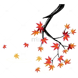 日本风格冬季枫叶插画