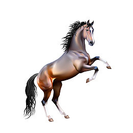 3D骏马素材