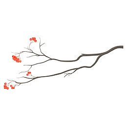 植物腊梅树